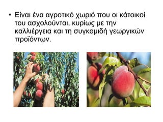 • Είναι ένα αγροτικό χωριό που οι κάτοικοί
  του ασχολούνται, κυρίως με την
  καλλιέργεια και τη συγκομιδή γεωργικών
  προϊόντων.
 