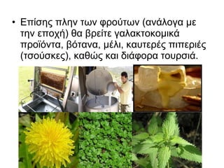 • Επίσης πλην των φρούτων (ανάλογα με
  την εποχή) θα βρείτε γαλακτοκομικά
  προϊόντα, βότανα, μέλι, καυτερές πιπεριές
  (τσούσκες), καθώς και διάφορα τουρσιά.
 