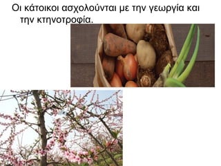 Οι κάτοικοι ασχολούνται με την γεωργία και
 την κτηνοτροφία.
 