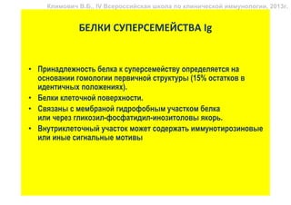 Климович В.Б., IV Всероссийская школа по клинической иммунологии, 2013г.


             БЕЛКИ СУПЕРСЕМЕЙСТВА Ig


• Принадлежность белка к суперсемейству определяется на
  основании гомологии первичной структуры (15% остатков в
  идентичных положениях).
• Белки клеточной поверхности.
• Связаны с мембраной гидрофобным участком белка
  или через гликозил-фосфатидил-инозитоловы якорь.
• Внутриклеточный участок может содержать иммунотирозиновые
  или иные сигнальные мотивы
 