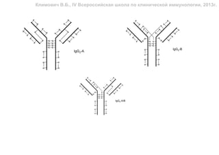 Климович В.Б., IV Всероссийская школа по клинической иммунологии, 2013г.
 