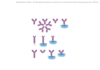 Климович В.Б., IV Всероссийская школа по клинической иммунологии, 2013г.
 