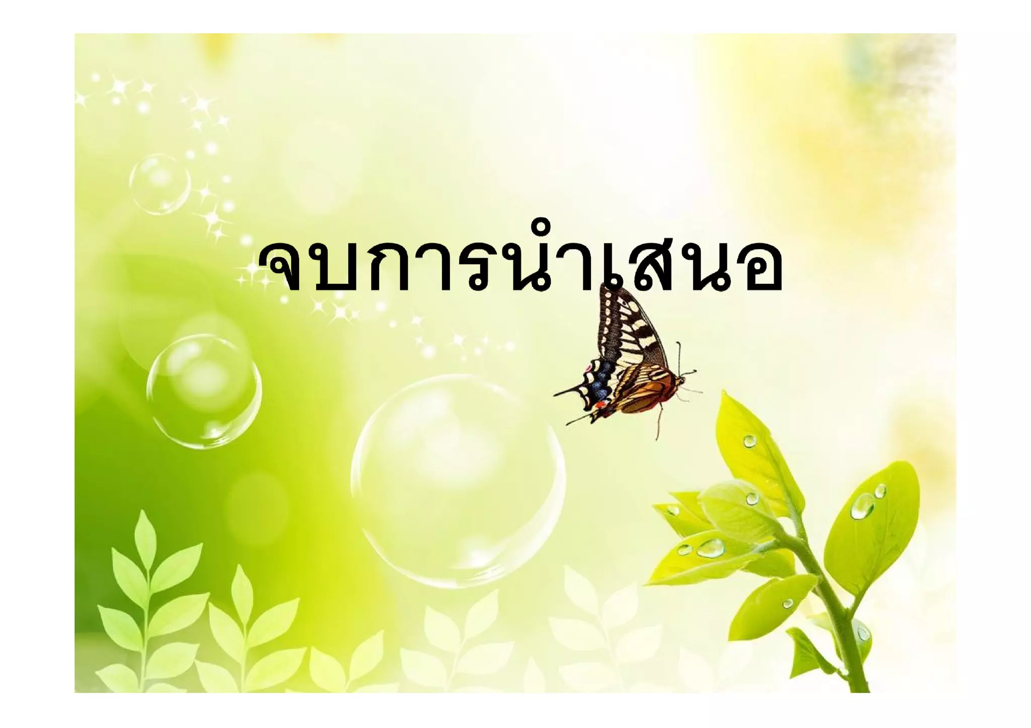 งานภาษาไทย (1)