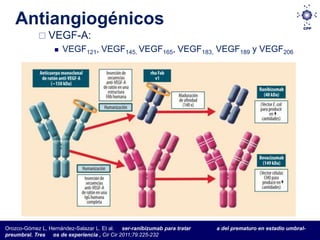Antiangiogénicos
             VEGF-A:
                     VEGF121, VEGF145, VEGF165, VEGF183, VEGF189 y VEGF206




Orozco-Gómez L, Hernández-Salazar L. Et al. ser-ranibizumab para tratar   a del prematuro en estadio umbral-
preumbral. Tres os de experiencia , Cir Cir 2011;79:225-232
 