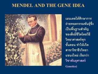 MENDEL AND THE GENE IDEA
                 เมนเดลได้ ศึกษาการ
                 ถ่ ายทอดกรรมพันธุ์ซ่ งึ
                 เป็ นพืนฐานสาคัญ
                        ้
                 ของสิ่งมีชีวิตโดยวิธี
                 วิทยาศาสตร์ ทุก
                 ขันตอน ทาให้ เกิด
                    ้
                 สาขาวิชาชีววิทยา
                 แขนงใหม่ เรียกว่ า
                 วิชาพันธุศาสตร์
                 Genetics)
 