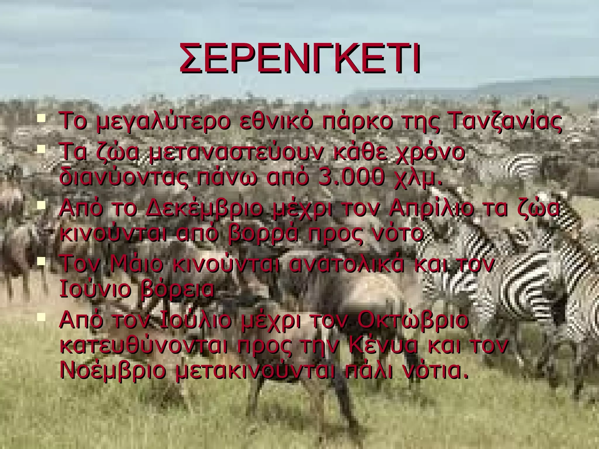 ΣΕΡΕΝΓΚΕΤΙ
   Το μεγαλύτερο εθνικό πάρκο της Τανζανίας
   Τα ζώα μεταναστεύουν κάθε χρόνο
    διανύοντας πάνω από 3.000 χλμ.
   Από το Δεκέμβριο μέχρι τον Απρίλιο τα ζώα
    κινούνται από βορρά προς νότο
   Τον Μάιο κινούνται ανατολικά και τον
    Ιούνιο βόρεια
   Από τον Ιούλιο μέχρι τον Οκτώβριο
    κατευθύνονται προς την Κένυα και τον
    Νοέμβριο μετακινούνται πάλι νότια.
 