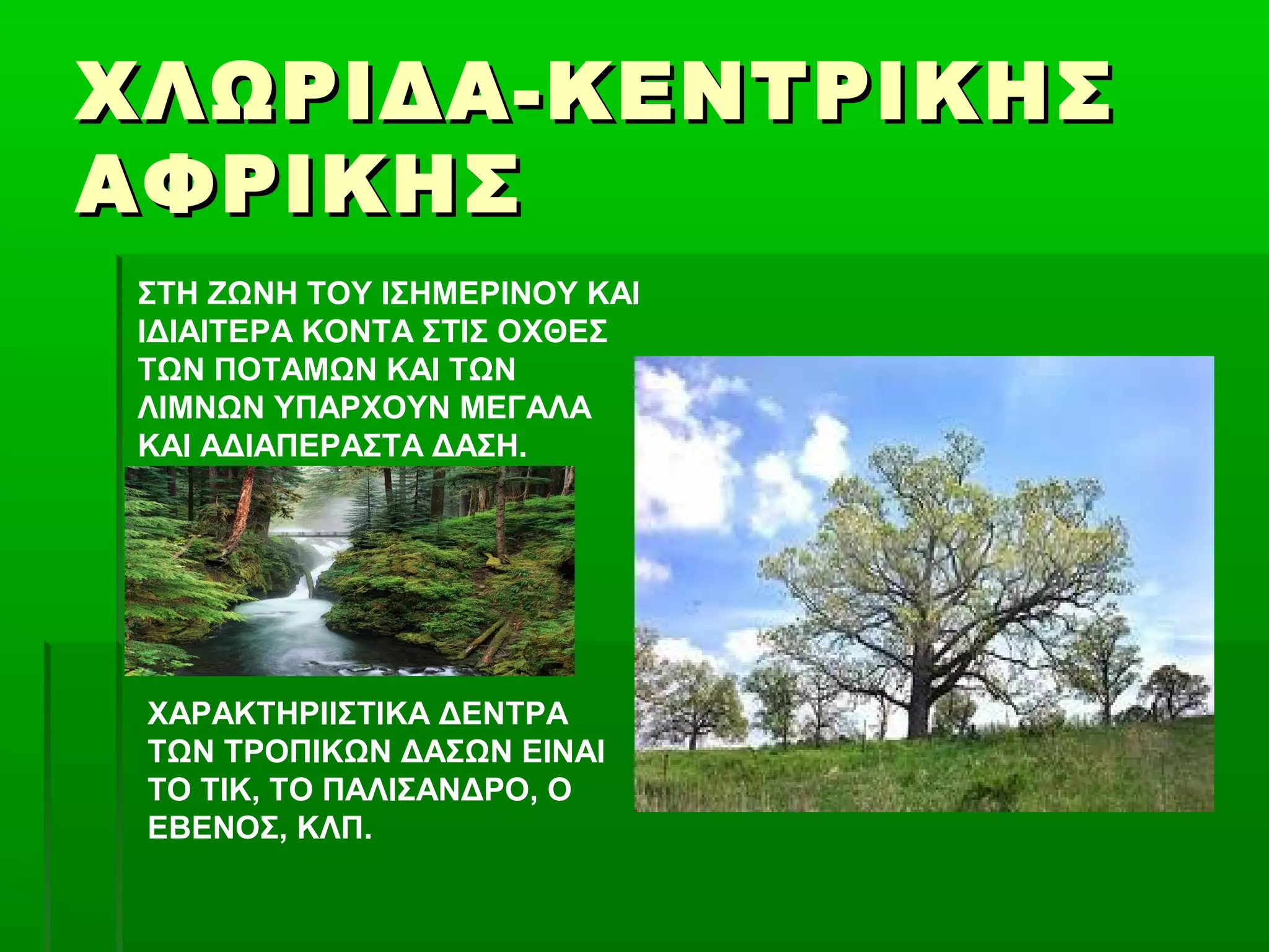 ΧΛΩΡΙΔΑ-ΚΕΝΤΡΙΚΗΣ
ΑΦΡΙΚΗΣ
 ΣΤΗ ΖΩΝΗ ΤΟΥ ΙΣΗΜΕΡΙΝΟΥ ΚΑΙ
 ΙΔΙΑΙΤΕΡΑ ΚΟΝΤΑ ΣΤΙΣ ΟΧΘΕΣ
 ΤΩΝ ΠΟΤΑΜΩΝ ΚΑΙ ΤΩΝ
 ΛΙΜΝΩΝ ΥΠΑΡΧΟΥΝ ΜΕΓΑΛΑ
 ΚΑΙ ΑΔΙΑΠΕΡΑΣΤΑ ΔΑΣΗ.




 ΧΑΡΑΚΤΗΡΙΙΣΤΙΚΑ ΔΕΝΤΡΑ
 ΤΩΝ ΤΡΟΠΙΚΩΝ ΔΑΣΩΝ ΕΙΝΑΙ
 ΤΟ ΤΙΚ, ΤΟ ΠΑΛΙΣΑΝΔΡΟ, Ο
 ΕΒΕΝΟΣ, ΚΛΠ.
 