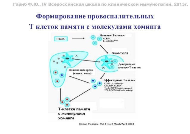 Боль в пояснице с левой стороны в спине