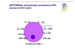 Калинина Н.М., IV Всероссийская школа по клинической иммунологии, 2013г.

ЦИТОКИНЫ- регуляторы активности NK-
клеток (CD56 bright)




                IL-2R          IL-1R
                                    GM-CSF R
       IL15R                           IL-10R
         IFNγR                        IL12R
         MIP-1βR                     TNF-αR

                 IL18R на CD56 ++
 