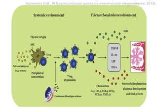 Калинина Н.М., IV Всероссийская школа по клинической иммунологии, 2013г.




HLA совместимость или HLA
несовместимость ?
 