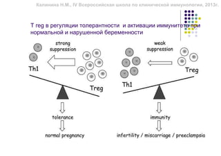 Калинина Н.М., IV Всероссийская школа по клинической иммунологии, 2013г.



T reg в регуляции толерантности и активации иммунитета при
нормальной и нарушенной беременности
 