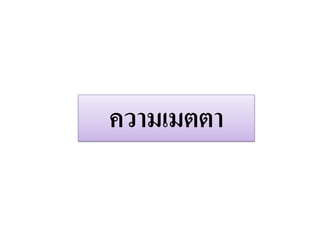 ความเมตตา
 