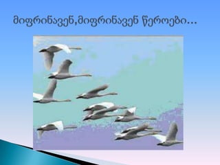 ბუნებრივი მოვლენები 1