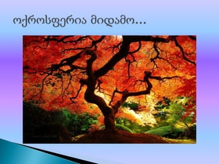 ბუნებრივი მოვლენები 1