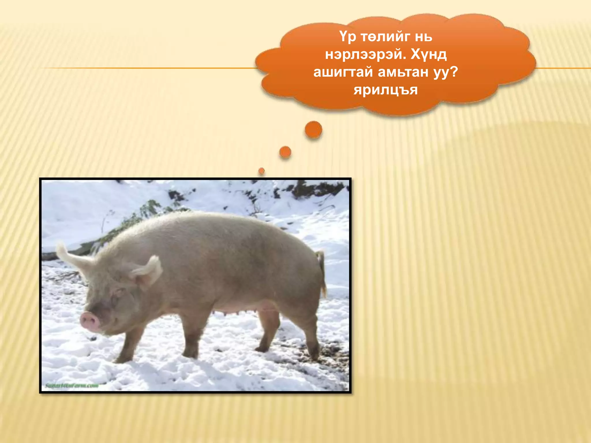 Үр төлийг нь
 нэрлээрэй. Хүнд
ашигтай амьтан уу?
     ярилцъя
 