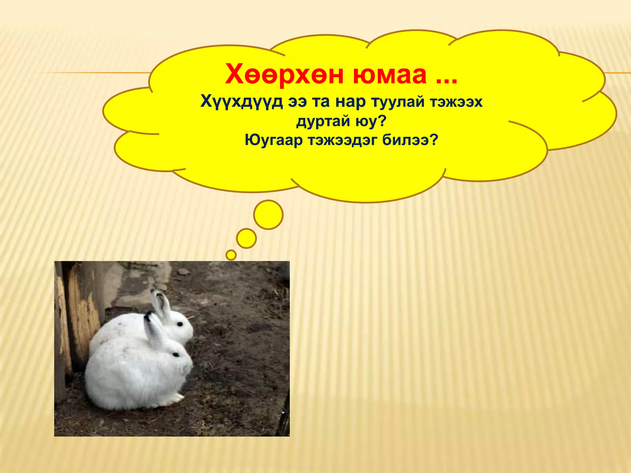 Хөөрхөн юмаа ...
Хүүхдүүд ээ та нар туулай тэжээх
          дуртай юу?
     Юугаар тэжээдэг билээ?
 