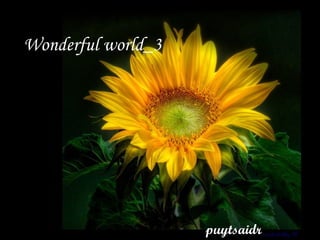 Wonderful world_3




                    puytsaidr
 