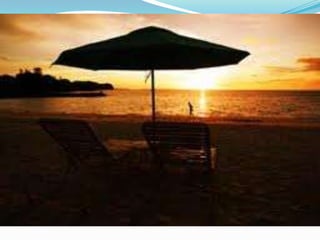 לוטונט - מה לעשות לאחר זכייה בלוטו?