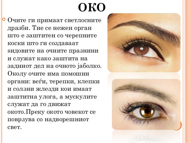Око за око синоним