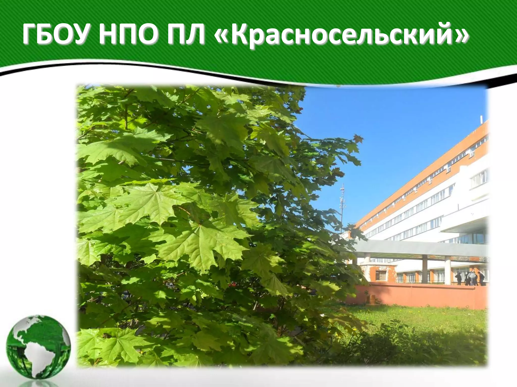 ГБОУ НПО ПЛ «Красносельский»
 