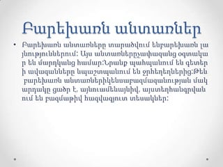 Բարեխառն անտառներ
• Բարեխառն անտառները տարածվում ենբարեխառն լա
յնություններում: Այս անտառներըչափազանց օգտակա
ր են մարդկանց համար:Նրանք պահպանում են գետեր
ի ավազանները ևպաշտպանում են ջրհեղեղներից:Թեև
բարեխառն անտառներիկենսաբազմազանության մակ
արդակը ցածր է, այնուամենայնիվ, այստեղհանգրվան
ում են բազմաթիվ հազվագյուտ տեսակներ:
 