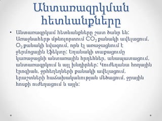 Անտառազրկման
հետևանքները
• Անտառազրկամ հետևանքները շատ ծանր են:
Առաջնահերթ մթնոլորտում CO2 քանակի ավելացում,
O2 քանակի նվազում, որն էլ առաջացնում է
ջերմոցային էֆեկտը: Եղանակի տաքացումը
կառաջացնի անտառային հրդեհներ, անապատացում,
անտառազրկում և այլ խնդիրներ: Կուժեղանա հողային
էրոզիան, ջրհեղեղների քանակի ավելացում,
երաշտների հաճախականության մեծացում, ջրային
հոսքի ուժեղացում և այլն:
 