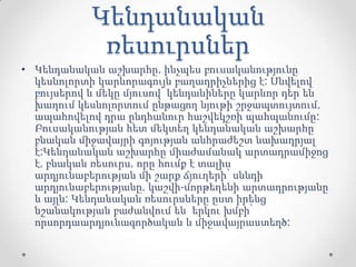Կենդանական
ռեսուրսներ
• Կենդանական աշխարհը, ինչպես բուսականությունը
կեսնոլորտի կարևորագույն բաղադրիչներից է: Սնվելով
բույսերով և մեկը մյուսով՝ կենդանիները կարևոր դեր են
խաղում կեսնոլորտում ընթացող նյութի շրջապտույտում,
ապահովելով դրա ընդհանուր հաշվեկշռի պահպանումը:
Բուսականության հետ մեկտեղ կենդանական աշխարհը
բնական միջավայրի գոյության անհրաժեշտ նախադրյալ
է:Կենդանական աշխարհը միաժամանակ արտադրամիջոց
է, բնական ռեսուրս, որը հումք է տալիս
արդյունաբերության մի շարք ճյուղերի՝ սննդի
արդյունաբերությանը, կաշվի-մորթեղենի արտադրությանը
և այլն: Կենդանական ռեսուրսները ըստ իրենց
նշանակության բաժանվում են երկու խմբի՝
որսորդաարդյունագործական և միջավայրաստեղծ:
 