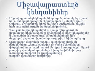 Միջավայրաստեղծ
կենդանիներ
• Միջավայրաստեղծ կենդանիները, որոնց տեսակները շատ
են, ունեն կարևորագույն էկոլոգիական նշանակություն:
Օրինակ. միջատների դերը բույսերի փոշոտման, ինչպես
նաև բուսաբուծության զարացման գործում:
• Կան բազմաթիվ կենդանիներ, որոնք ոչնչացնում են
վնասակար միջատներին ու կրծողներին: Որոշ կենդանիներ
և միջատներ էլ կատարում են սանիտարների դեր՝
մաքրելով շրջակա միջավայրը թույլերից և հիվանդներից:
• Շրջապատի մաքրման գործում անփոխարինելի են
լեշակերները: Հողում բնակվող մի շարք կենդանիներ,
փխրցլելով հողը՝ բարելավում են դրա կառուցվածքը: Ջրում
բնակվող փափկամարմինների և խեղգետինների որոշ
տեսակներ մաքրում են ջրավազանները
տարբեր վնասակար նյութերից:
•
 