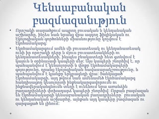 Կենսաբանական
բազմազանւթյուն
• Որոշակի տարածքում ապրող բուսական և կենդանական
աշխարհը, ինչես նաև նրանց վրա ազդող ֆիզիկական ու
էկոլոգիական գործոնների միասնությունը կոչվում է
էկոհամակարգ:
• Էկոհամակարգում ամեն մի բուսատեսակ ու կենդանատեսակ
ունի իր որոշակի դերը և մյուս բուսատեսակների ու
կենդանատեսակների, ինչպես բնակատեղի հետ գտնվում է
կայուն և օրինաչափ կապերի մեջ: Այս կապերի շնորհիվ է, որ
պահպանվում է կենսոլորտի և փոքր էկոհամակարգերի
գոյությունը, դրանց էկոլոգիական հավասարակշռությունը, և
պահպանվում է կյանքը երկրագնդի վրա: Ցանկացած
էկոհամակարգի, այդ թվում նաև ամենամեծ էկոհամակարգ
հանդիսացող կեսոլորտի ինքնակարգավորումն ու
ինքնավերականգնումն տեղի է ունենում նրա առանձին
բաղադրիչների փոխադարձ կապերի շնորհիվ: Որքան բազմազան
են էկոհամակարգի կենսաբանական բաղադրիչները` բուսական
ու կենդանական աշխարհը, այնքան այդ կապերը բազմազան ու
զարգացած են լինում:
 