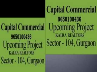 9650100436 Capital Sector104| Capital Group Sector104 31/5/13