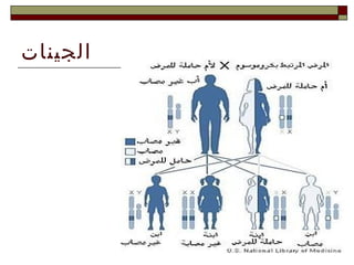 الجينات 