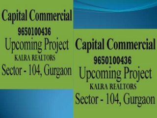 9650100436 Capital Group Sector 104 Gurgaon 220sqdtTAKE AWAY