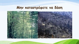 Μην καταστρέφετε να δάση
 