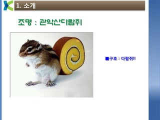 1. 소개
■구호 : 다람쥐!!
조명 : 관악산다람쥐
 