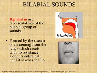 BILABIAL SOUNDS
• B,p and m are
representatives of the
bilabial group of
sounds.
• Formed by the stream
of air coming from the
lungs which meets
with no resistance
along its entire path
until it reaches the lip.
Robert Rothman; Phonetic consideration in denture prosthesis, J Prosthet Dent;1961;11:214-223)
 