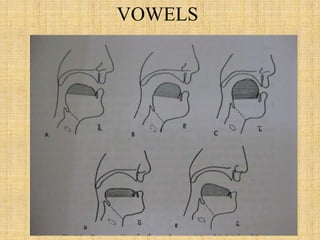 VOWELS
 