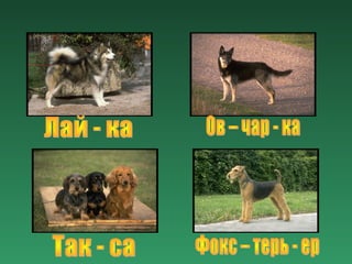 урок труда в 1 кл кунцевич