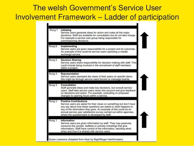 Service user involvement literature review