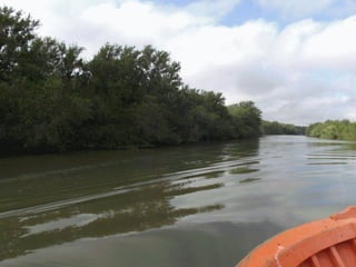 Bela São Francisco de Itabapoana!