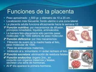Funciones de la placenta
 Peso aproximado + 500 gr. y diámetro de 10 a 20 cm .
 Localización más frecuente: fondo uterino o una zona lateral.
 La placenta adulta funciona eficazmente hacia la semana 12:
1º Función nutritiva: por mecanismos de difusión,
principios inmediatos, líquidos, aminoácidos.
 La barrera feto-placentaria sólo permite pasar
moléculas < de 1000 daltons de peso molecular.
2º Función defensiva: por tres mecanismos:
 Filtración de suero de la madre hasta el feto,
peso molecular de 1000,
 Paso de anticuerpos maternos,
 Inhibición al s. inmunitario => evitar rechazo al feto.
3º Función excretora: eliminación de residuos fetales como CO2.
4º Función endocrina: órgano 2rio., en
conjunto con órganos maternos y fetales,
secretan una serie de hormonas.
 Al 4º día aparece la primera hormona.
 