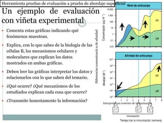 118
Un ejemplo de evaluación
con viñeta experimental
 Comenta estas gráficas indicando qué
fenómenos muestran.
 Explica, con lo que sabes de la biología de las
células B, los mecanismos celulares y
moleculares que explican los datos
mostrados en ambas gráficas.
 Deben leer las gráficas interpretar los datos y
relacionarlos con lo que saben del temario.
 ¿Qué ocurre? ¿Qué mecanismos de los
estudiados explican cada cosa que ocurre?
 ¿Transmite honestamente la información?
Herramienta pruebas de evaluación a prueba de abordaje superficial
Interpretar un contexto de inmunización
Diferenciarconcentracióndeafinidad
 