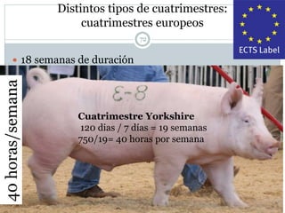 Distintos tipos de cuatrimestres:
cuatrimestres europeos
72
 18 semanas de duración
Cuatrimestre Yorkshire
120 dias / 7 días = 19 semanas
750/19= 40 horas por semana
40horas/semana
 