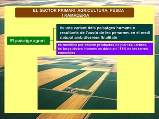 1. geografia econòmica 2