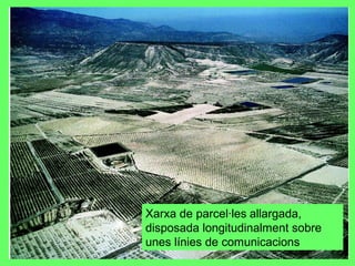 Xarxa de parcel·les allargada,
disposada longitudinalment sobre
unes línies de comunicacions
 
