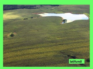 latifundi
 