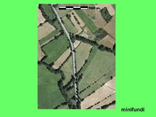 minifundi
 
