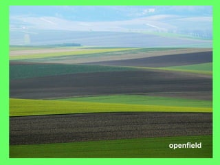 openfield
 