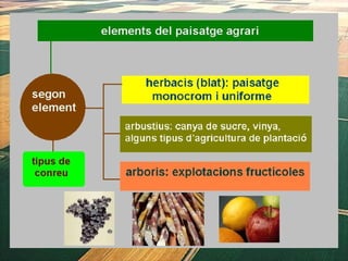 1. geografia econòmica 2