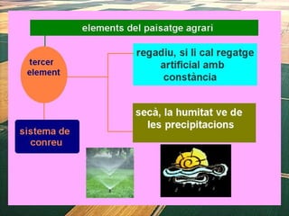 1. geografia econòmica 2