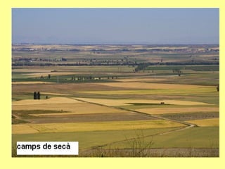 1. geografia econòmica 2